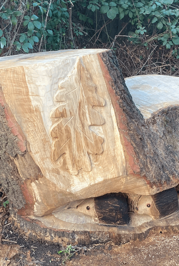 Hedgehogs carved into the bottom a a tree trunk