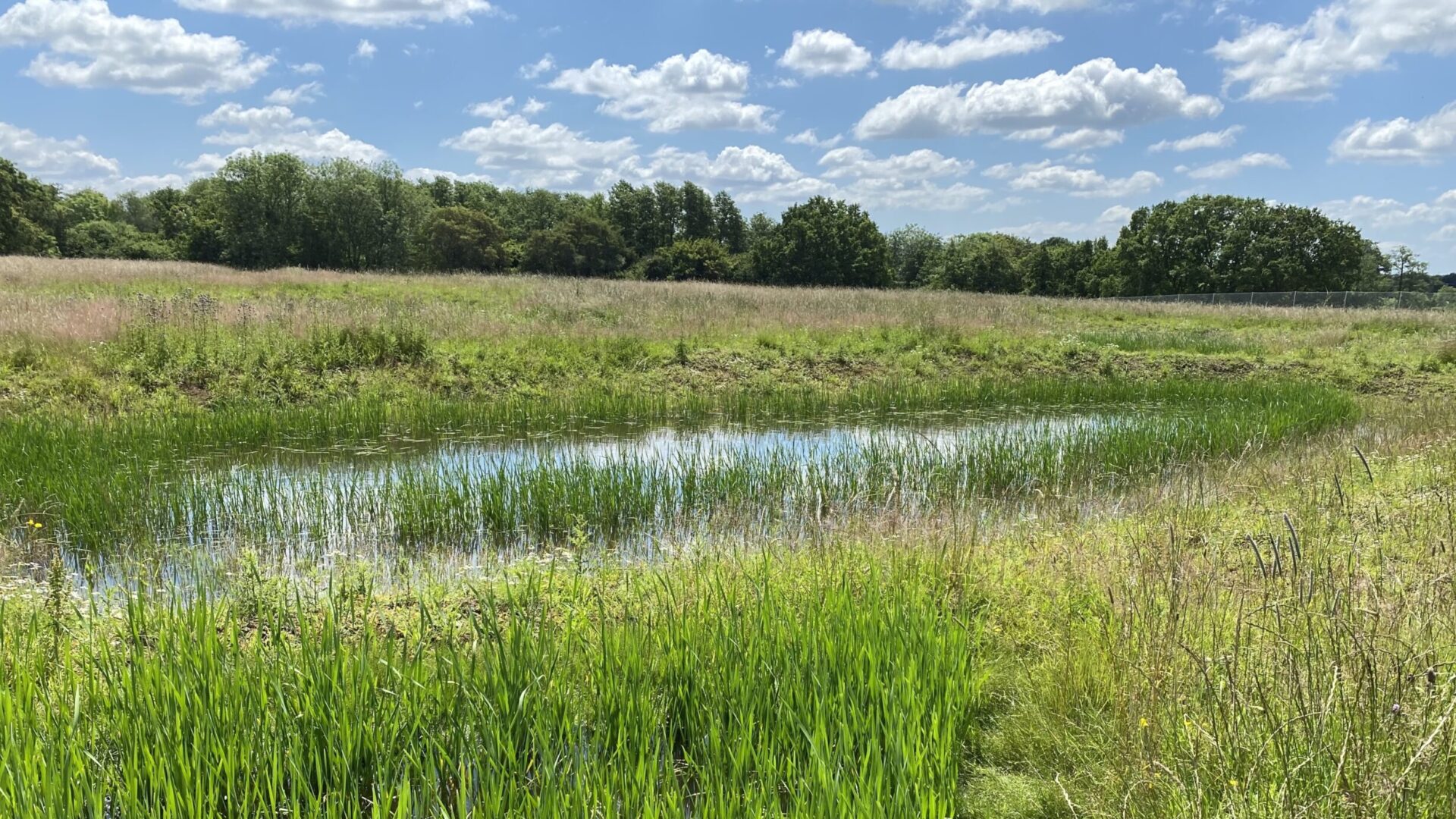 picture of Progress Update: One Horton Heath &#8211; Delivering a Sustainable Future for Eastleigh