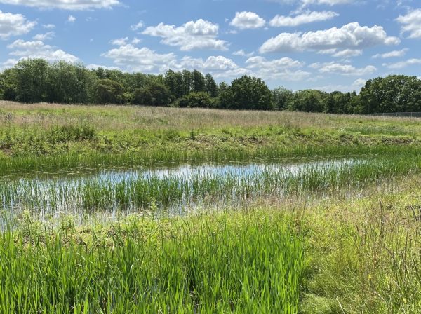 Progress Update: One Horton Heath – Delivering a Sustainable Future for Eastleigh