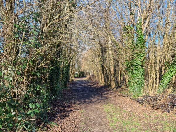Infrastructure improvements coming soon to Hedge End and Horton Heath