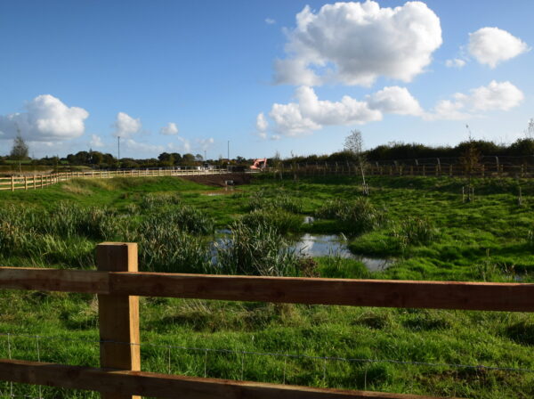 Eco-smart living: water management that works with nature.