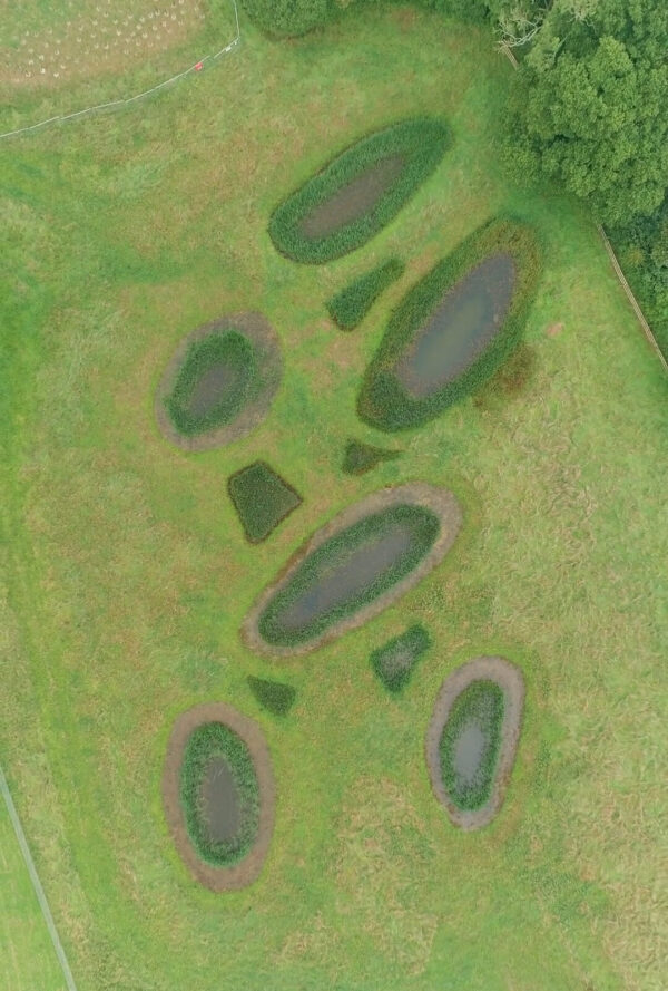 An areal image of newt ponds