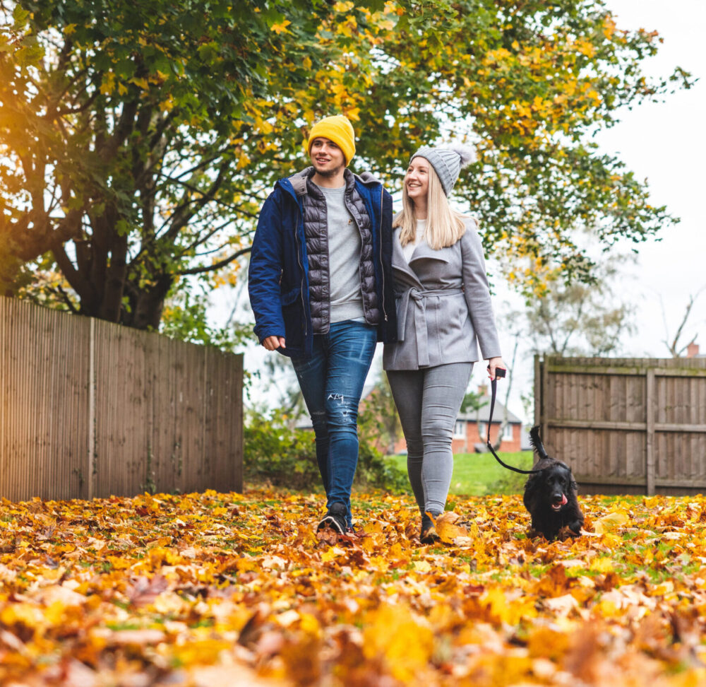 Happy couple walking the dog at park with autumn leaves on the ground - Young couple with a black dog on leash enjoying neighbourhood park