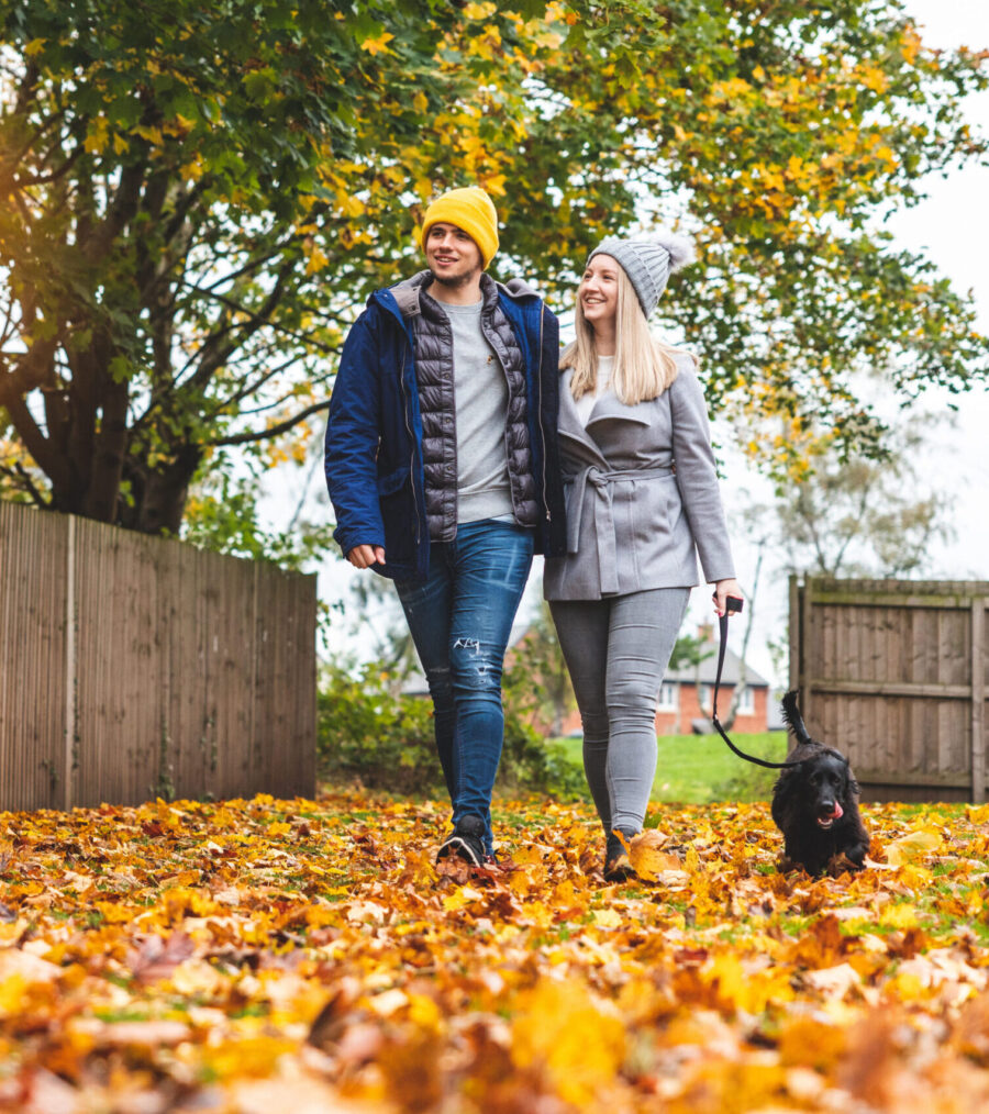 Happy couple walking the dog at park with autumn leaves on the ground - Young couple with a black dog on leash enjoying neighbourhood park