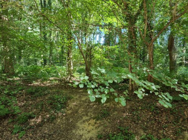 Nature-friendly living at The Lower Acre.