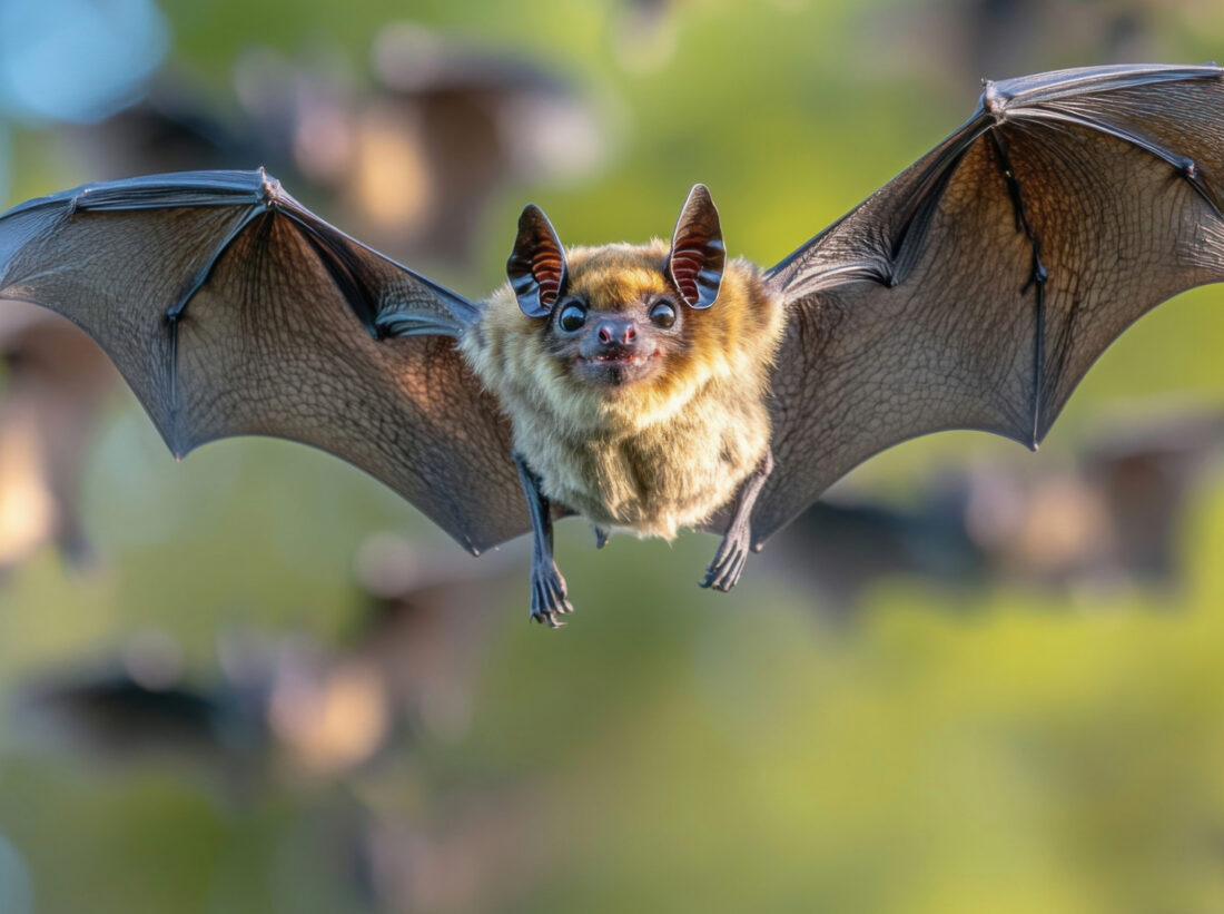 A bat flying through the air