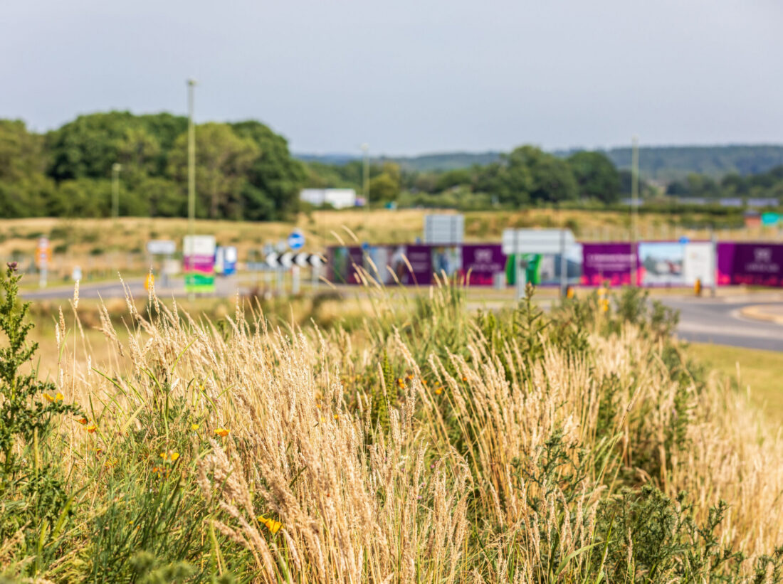 Green Space near The Lower Acre in Horton Heath