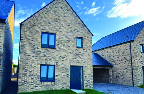 Plot 23, The Violet
