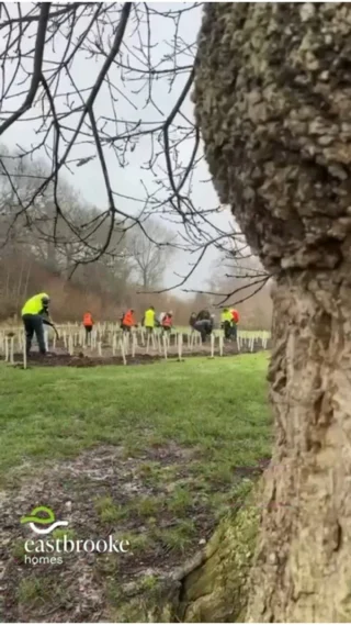 Our colleague found the funny side of planting trees in the pouring rain recently. We were joined by amazing partners, who turned out to improve the biodiversity of Knowle Park in Fair Oak 🌿