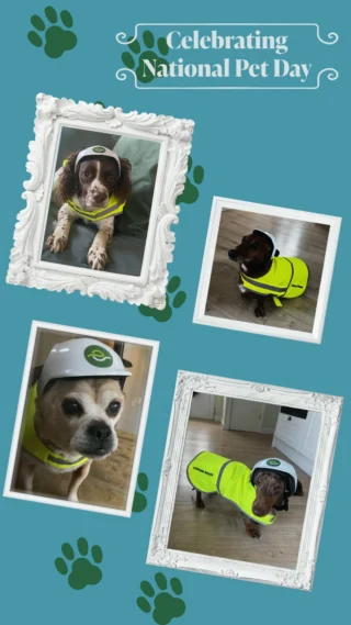 Paw‑ject managers on duty! 👷‍♂️🐾

Meet the real eastbrooke homes dream here to keep morale (and tails) high! 🐶

#NationalLoveYourPetDay #eastbrookehomes #Dogs #CuteDogs #DogsDressedUp #NationalPetDay