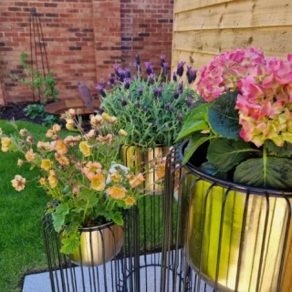 Today we're celebrating #WorldBeeDay 🐝

We understand how important these little pollinators are to the ecosystem, and that's why we are working to help the local population in and around The Lower Acre.

🌼 We're planting 100s of bee friendly flowers 
🐞 We have insect hibernation boxes in our show gardens 
🧱 Bee bricks have been incorporated on road bridges
🐝 We're contributing to local bee corridor projects
🌿 The Lower Acre is surrounded by 125 acres of green space, helping lots of animals to thrive 

#bees #BeeDay #TheLowerAcre #Ecology