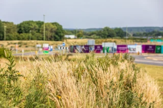 We aren’t the only ones calling The Lower Acre home. This #WorldNatureConservationDay, we’re taking a moment to celebrate the wildlife that share the space with us in Horton Heath 🏡

Did you know we have created specialist habitats to help lots of different species thrive, including:
🦉 Barn Owls
🦎 Great Crested Newts
🐭 Dormice
🦋 Butterflies and Bees 🐝
🦇 Bats
🐦 Swifts

Find out how we're creating a community where people and nature can thrive together. Visit our website to learn more [link in bio]. 

#Nature #HabitatCreation #Wildlife #TheLowerAcre #eastbrookehomes