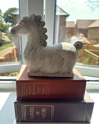 🎬 Inspired by the cinematic spectacle of The Odyssey, our marketing team have been searching our show homes for objects and details that capture the spirit of the film 🐴

It’s amazing how many thoughtful touches and design details are hidden throughout our homes 👀

📞 Call us on 023 8068 8400 to book a viewing and discover the details for yourself.

#ShowHomeInspiration #HomeDesign #InteriorDetails #TheLowerAcre #eastbrookehomes