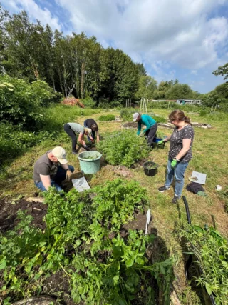 It's #NationalAllotmentsWeek! 🌱

As part of the full Horton Heath masterplan, 2 new allotment sites will be created, providing more opportunities for residents of The Lower Acre and future neighbourhoods to grow their own fruit, vegetables, and flowers while enjoying the great outdoors 🥕🍓🌻

Allotments are a fantastic way to connect with nature, support local biodiversity, and build a stronger sense of community.

Can't wait to get growing? Existing allotments can already be found near Knowle Park, South of Fair Oak 🌿

Find out more about life at The Lower Acre by visiting our website. 
🔗Link in bio 

#TheLowerAcre #eastbrookehomes #NewHomes #CommunityLiving #HampshireHomes #SustainableLiving #GrowYourOwn #GreenSpaces