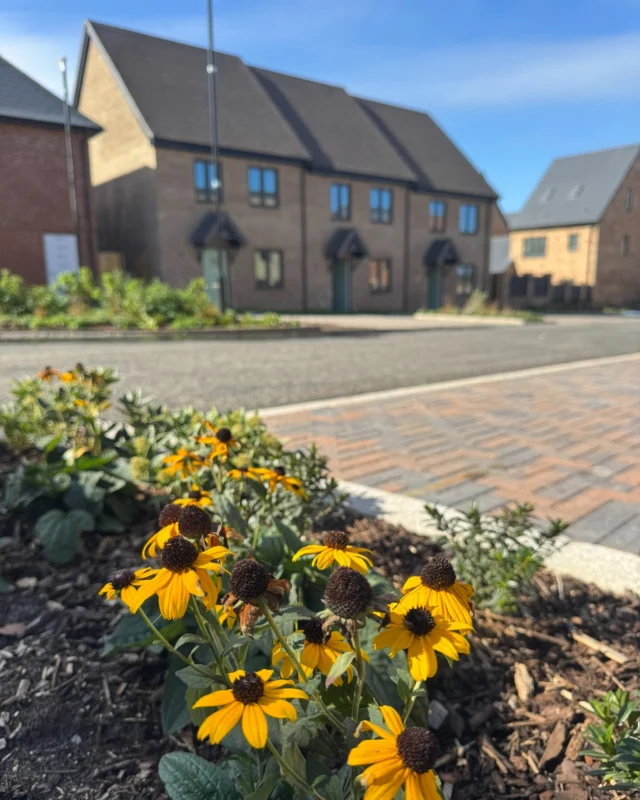 Soaking up the sunshine at The Lower Acre ☀️

With our first residents set to move in soon, it's an exciting time for this new community 🏘

Want to see it for yourself? Contact our sales team today to arrange a viewing.

📞 023 8068 8400
📧 sales@eastbrookehomes.co.uk